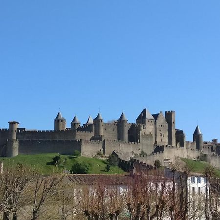 La Casa De Margarita Y Sisco, Villa Avec Piscine Carcassonne Buitenkant foto